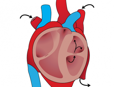 Que savoir sur les maladies cardiovasculaires ?